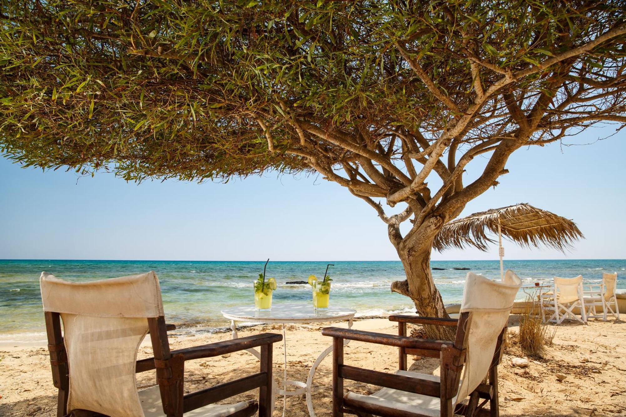 Thalassines Villas Αγία Νάπα Εξωτερικό φωτογραφία